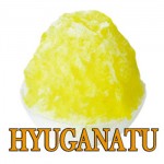 日向夏